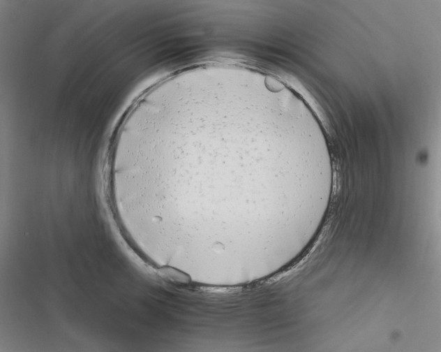 X0000116641139201001251130