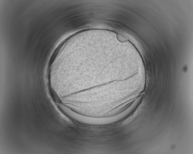 X0000116641141201001251130