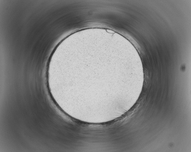 X0000116641142201001251130