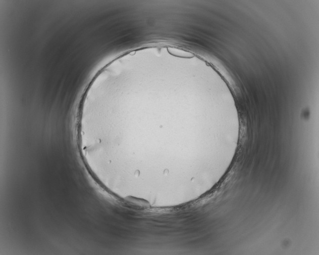 X0000116641143201001251130