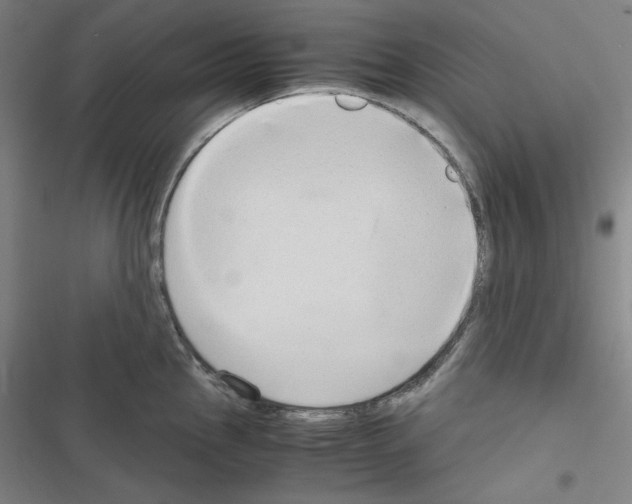 X0000116641145201001251130