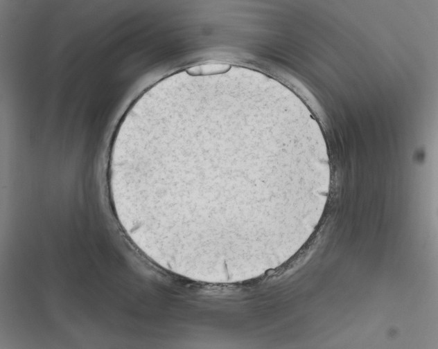 X0000116641146201001251130