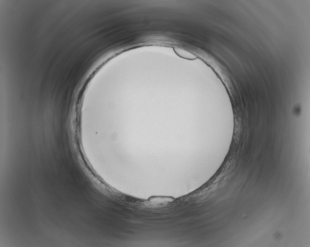 X0000116641147201001251130