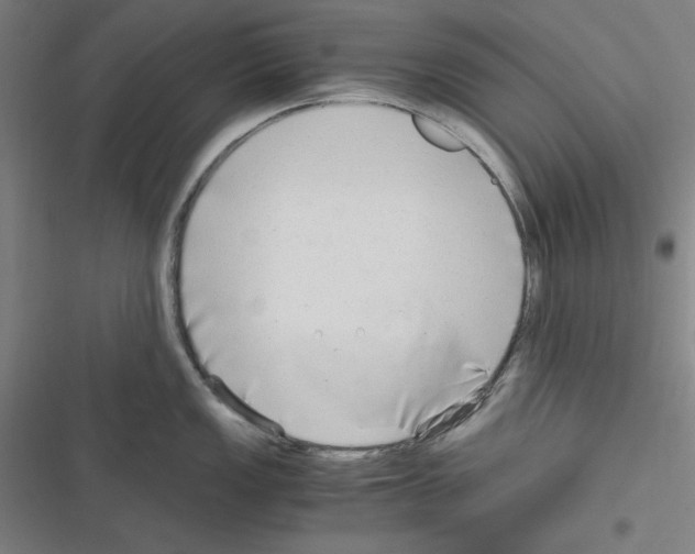 X0000116641149201001251130