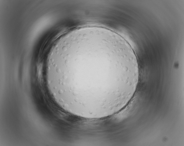 X0000116641150201001251130