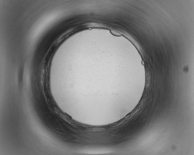 X0000116641151201001251130