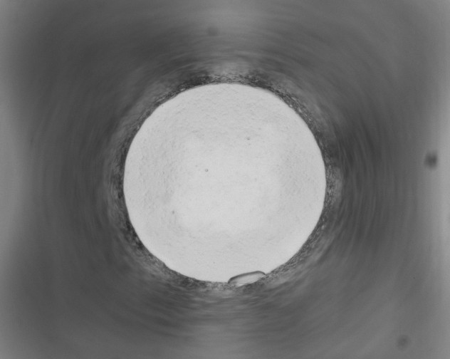 X0000116641153201001251130