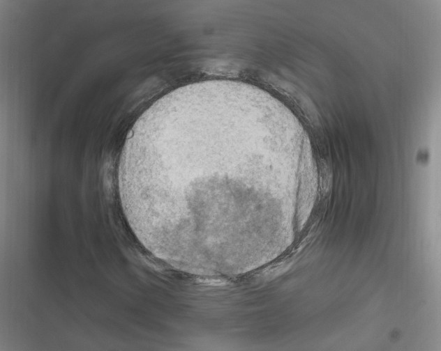 X0000116641154201001251130