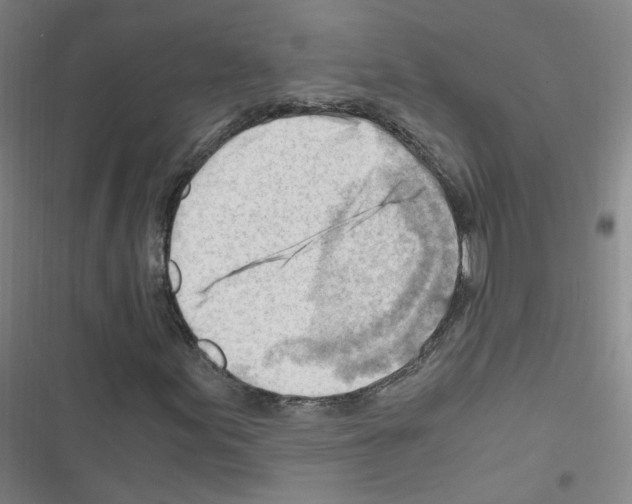 X0000116641155201001251130