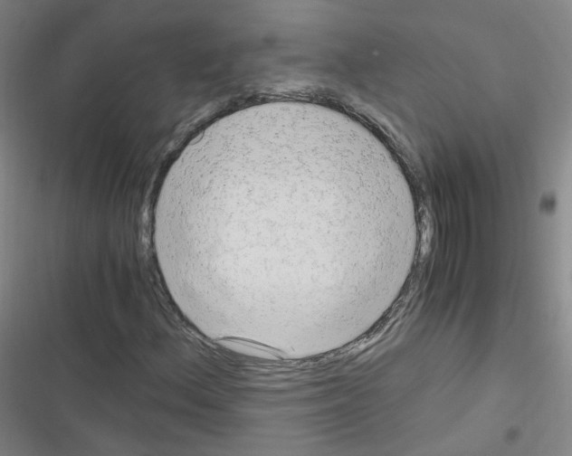 X0000116641156201001251130