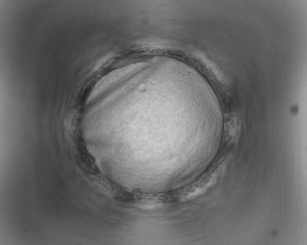 X0000116641157201001251130