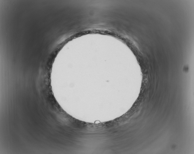 X0000116641159201001251130