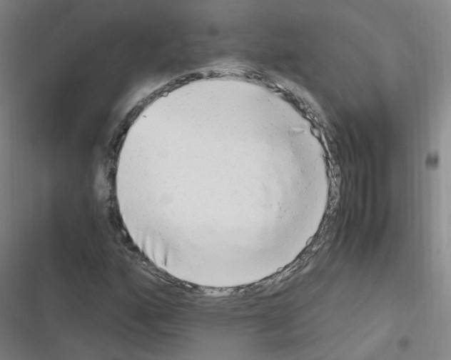 X0000116641160201001251130