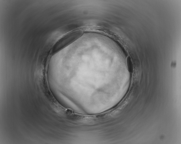 X0000116641161201001251130