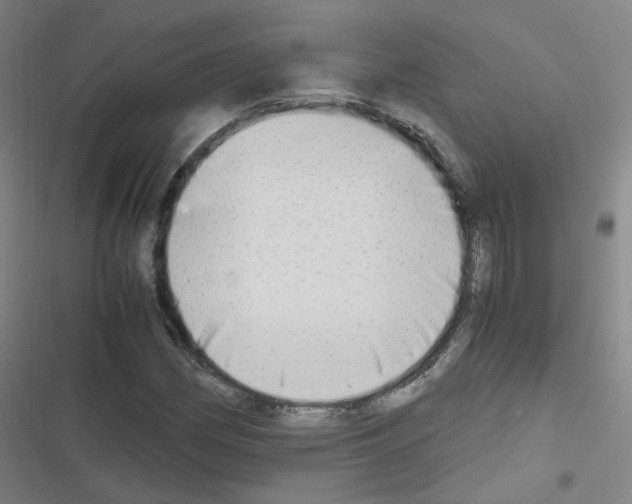 X0000116641162201001251130