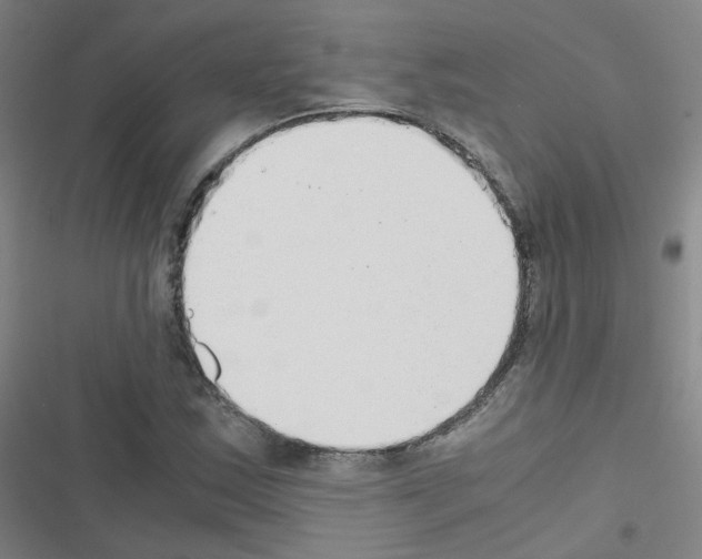 X0000116641163201001251130