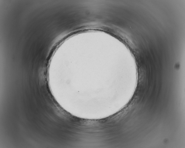 X0000116641164201001251130