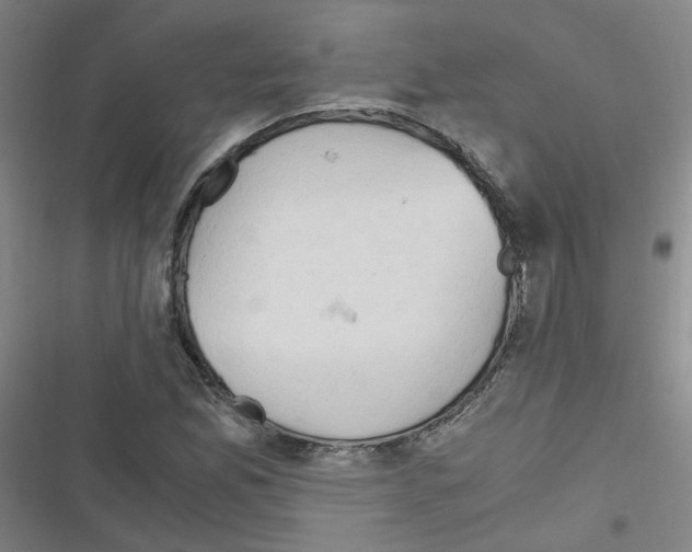 X0000116641165201001251130