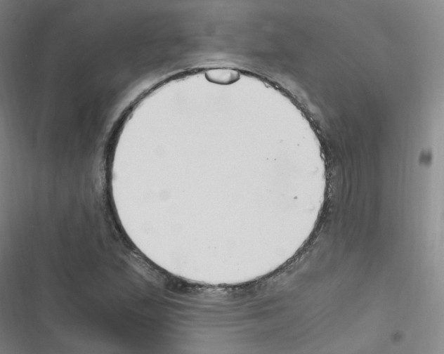 X0000116641167201001251130