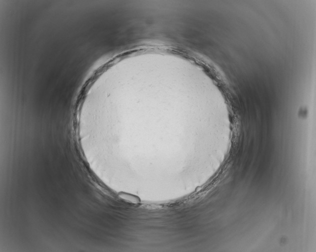 X0000116641168201001251130