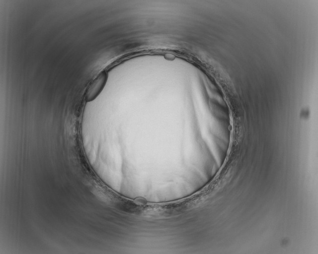 X0000116641169201001251130