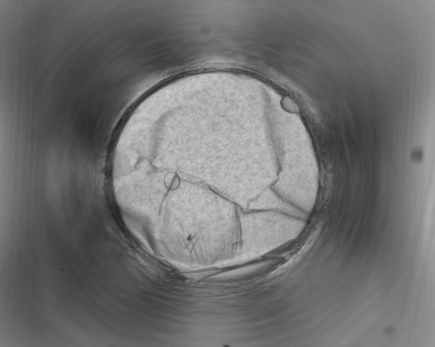 X0000116641170201001251130