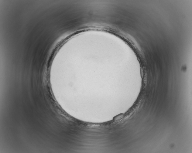 X0000116641172201001251130