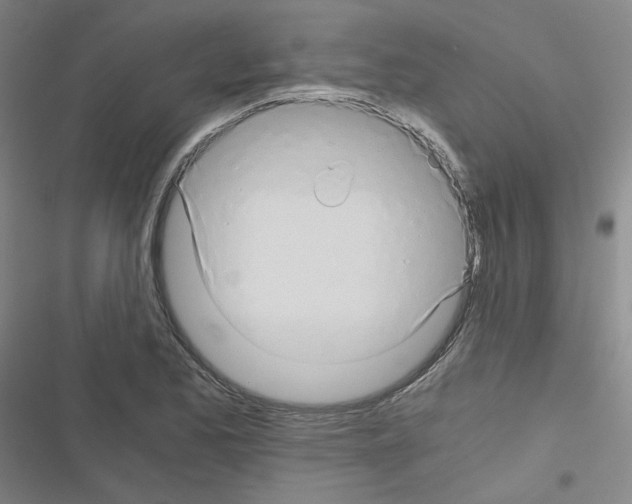 X0000116641173201001251130