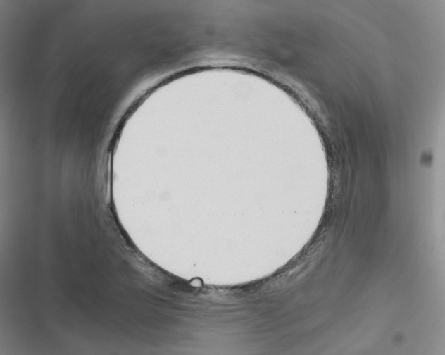 X0000116641175201001251130