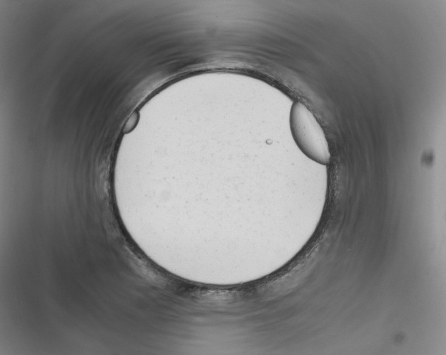 X0000116641177201001251129