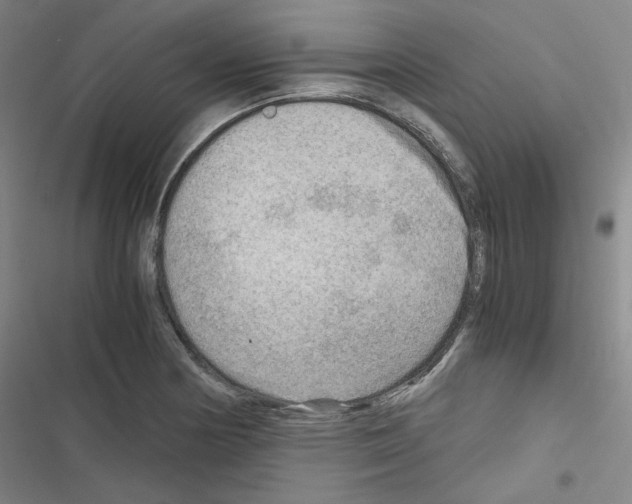 X0000116641178201001251129