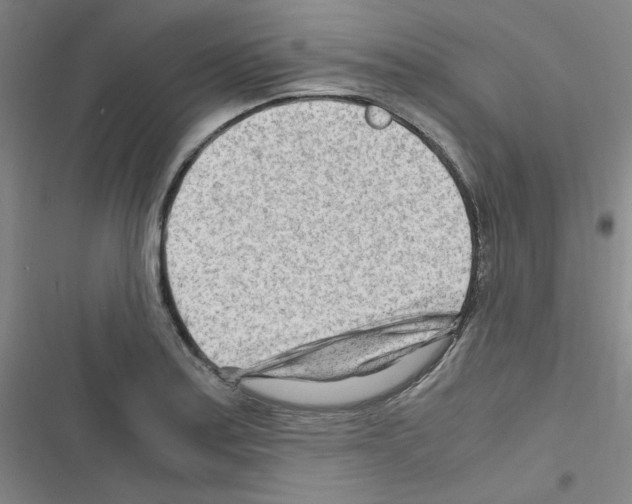 X0000116641179201001251129