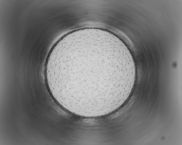 X0000116641182201001251129