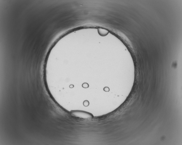 X0000116641183201001251129