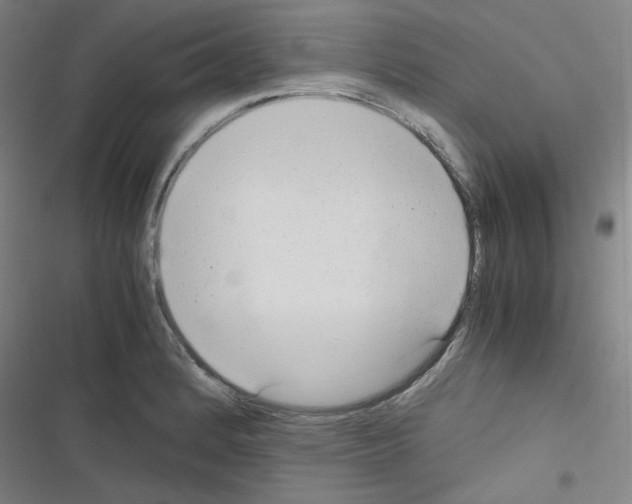 X0000116641184201001251129