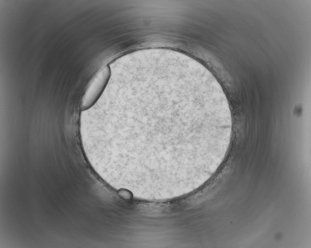 X0000116641185201001251129