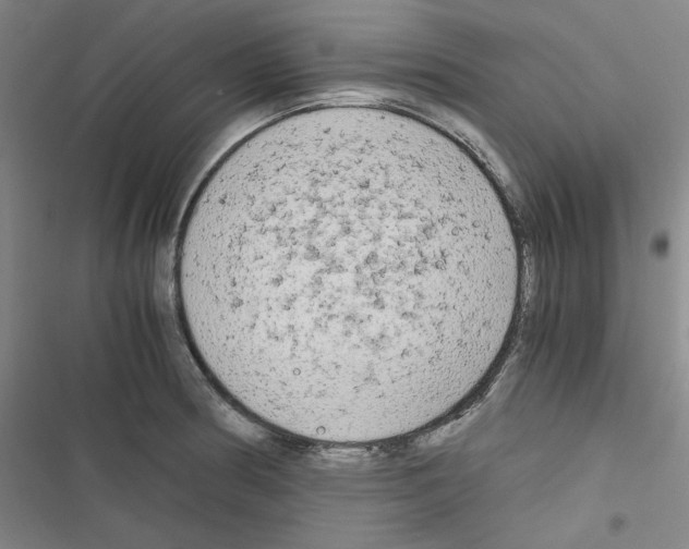 X0000116641186201001251129