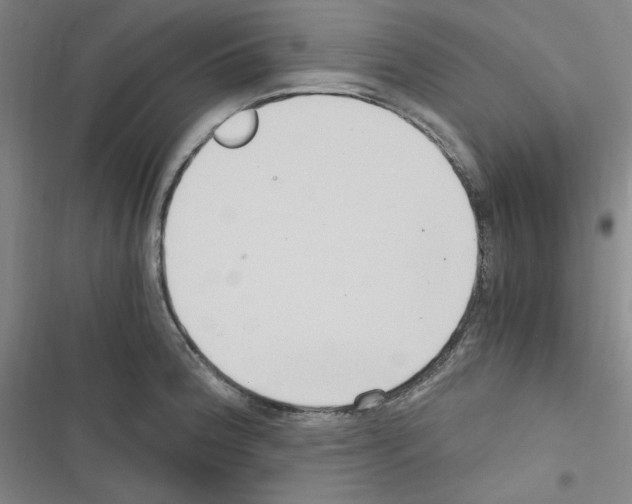 X0000116641188201001251129