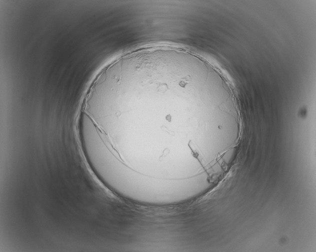 X0000116641189201001251129