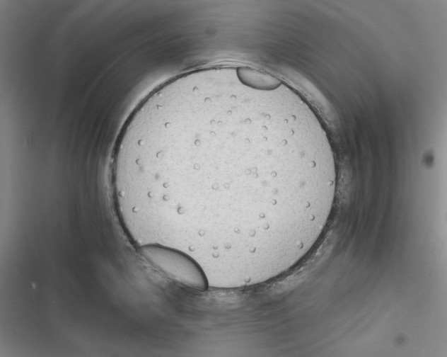 X0000116641190201001251129