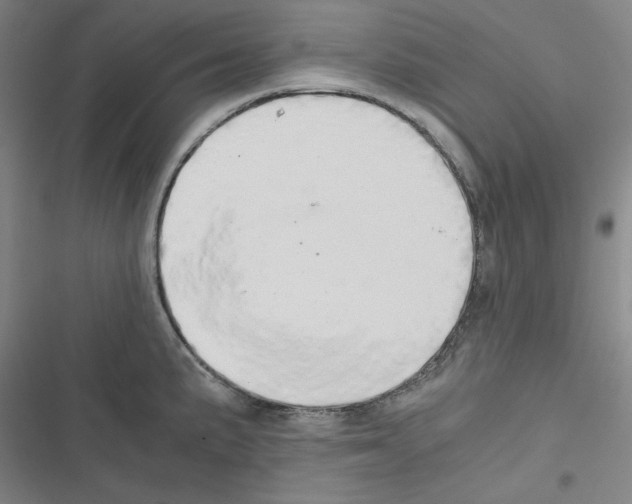 X0000116641191201001251129