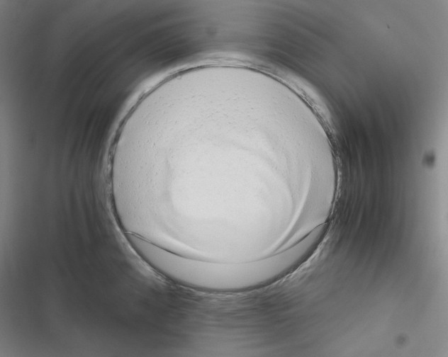 X0000116641192201001251129