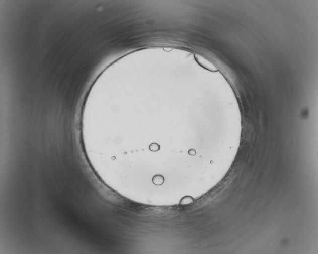 X0000116641195201001251129