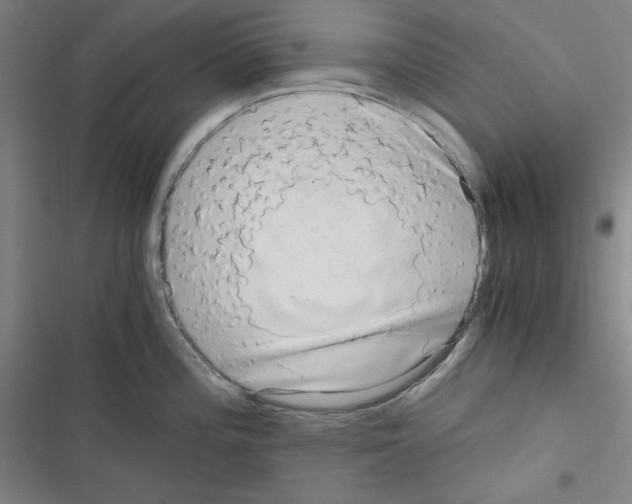 X0000116641196201001251129