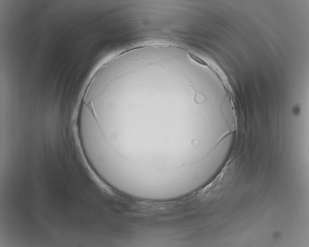 X0000116641197201001251129