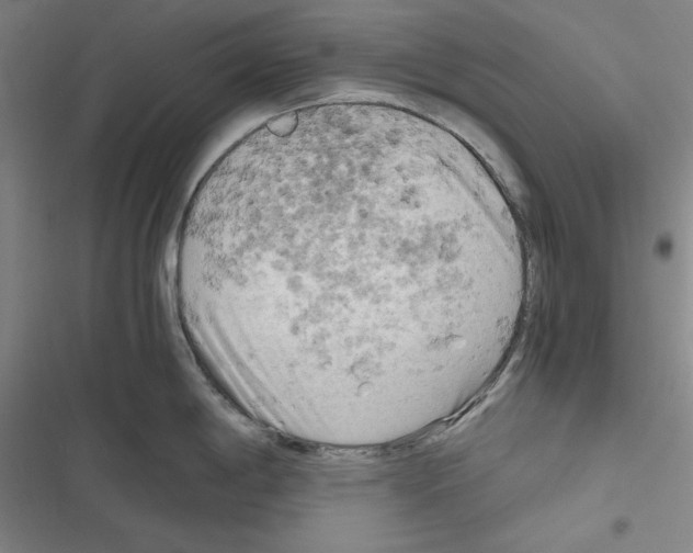 X0000116641198201001251129