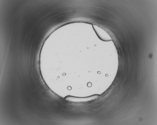 X0000116641199201001251129