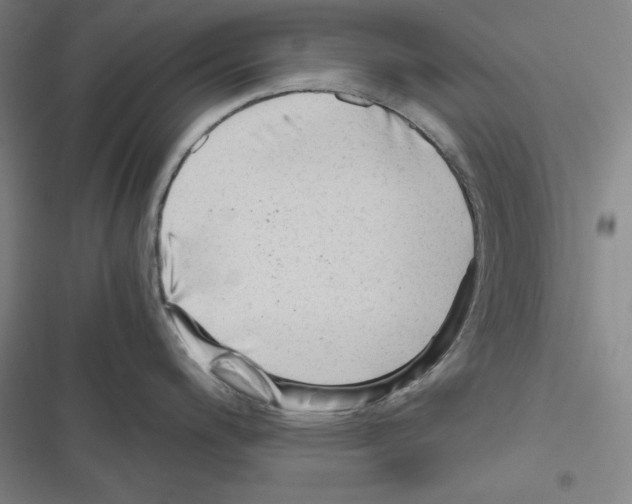 X0000116641200201001251129