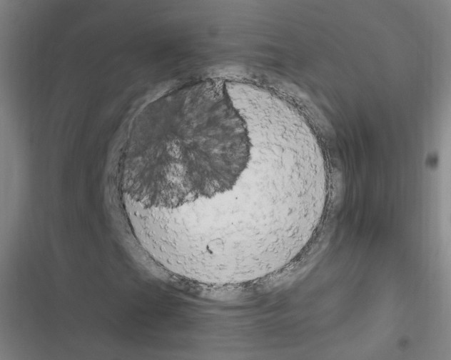 X0000116641201201001251129