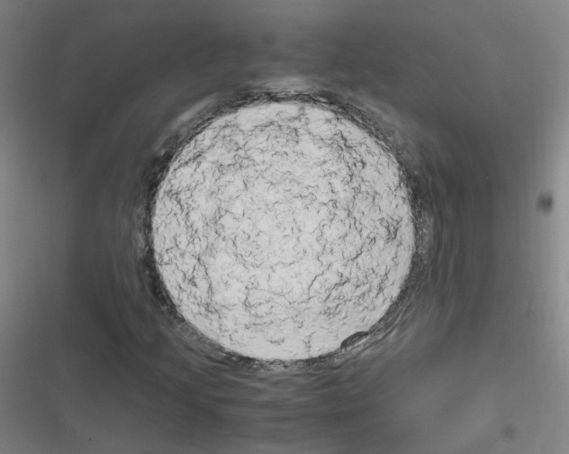 X0000116641205201001251129